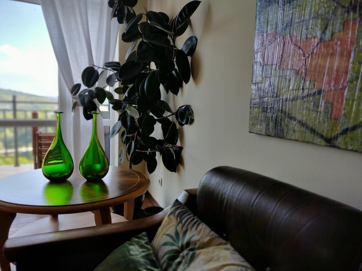 Apartament Art Studio Turnovo Wielkie Tyrnowo Zewnętrze zdjęcie